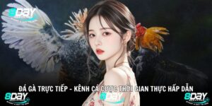 Đá Gà Trực Tiếp